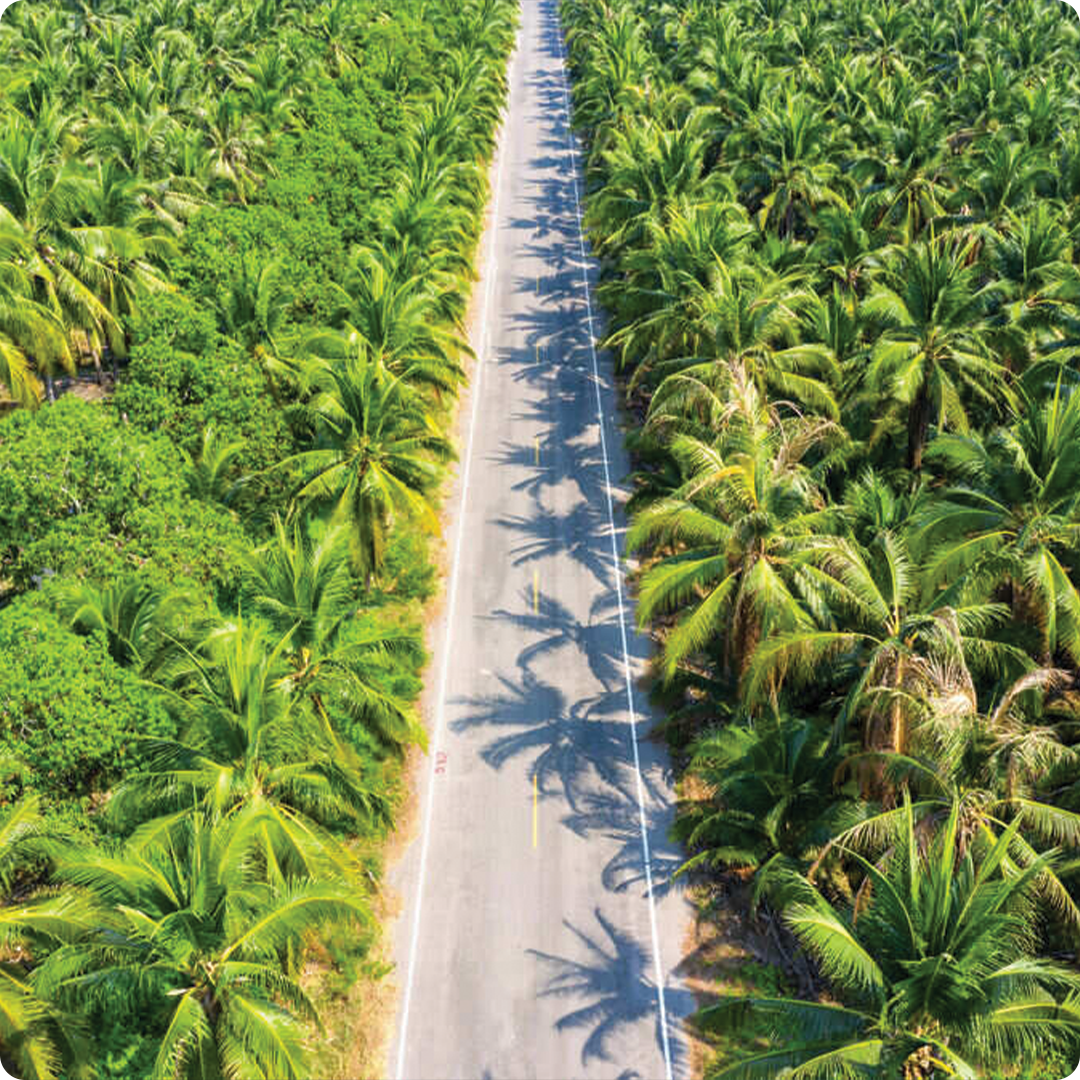 Forestry & Plantations